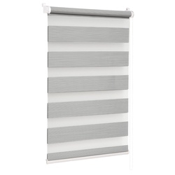 Рулонная штора день-ночь Delfa Mini СРШ-45903 57x160 (Light Grey)