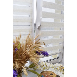 Рулонная штора день-ночь Delfa Natur Mini СРШ-01МК 408 48x160 (Beige) Thumb