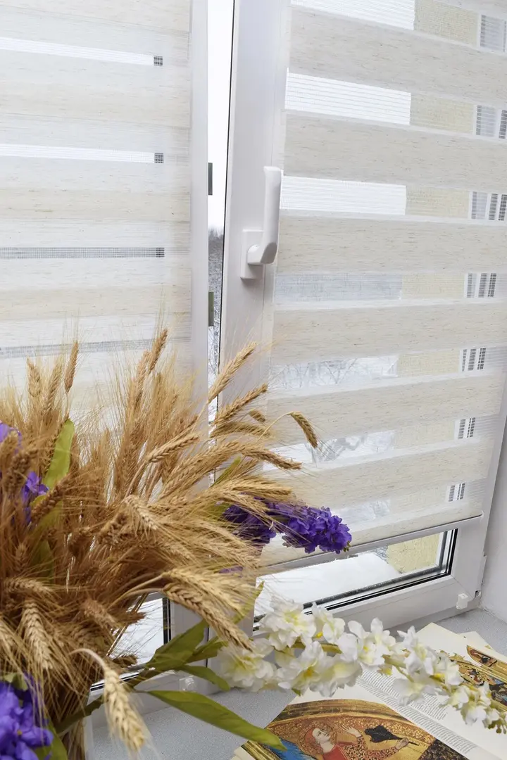 Рулонная штора день-ночь Delfa Nature Mini СРШ-01МК 408 73x160 (Beige)