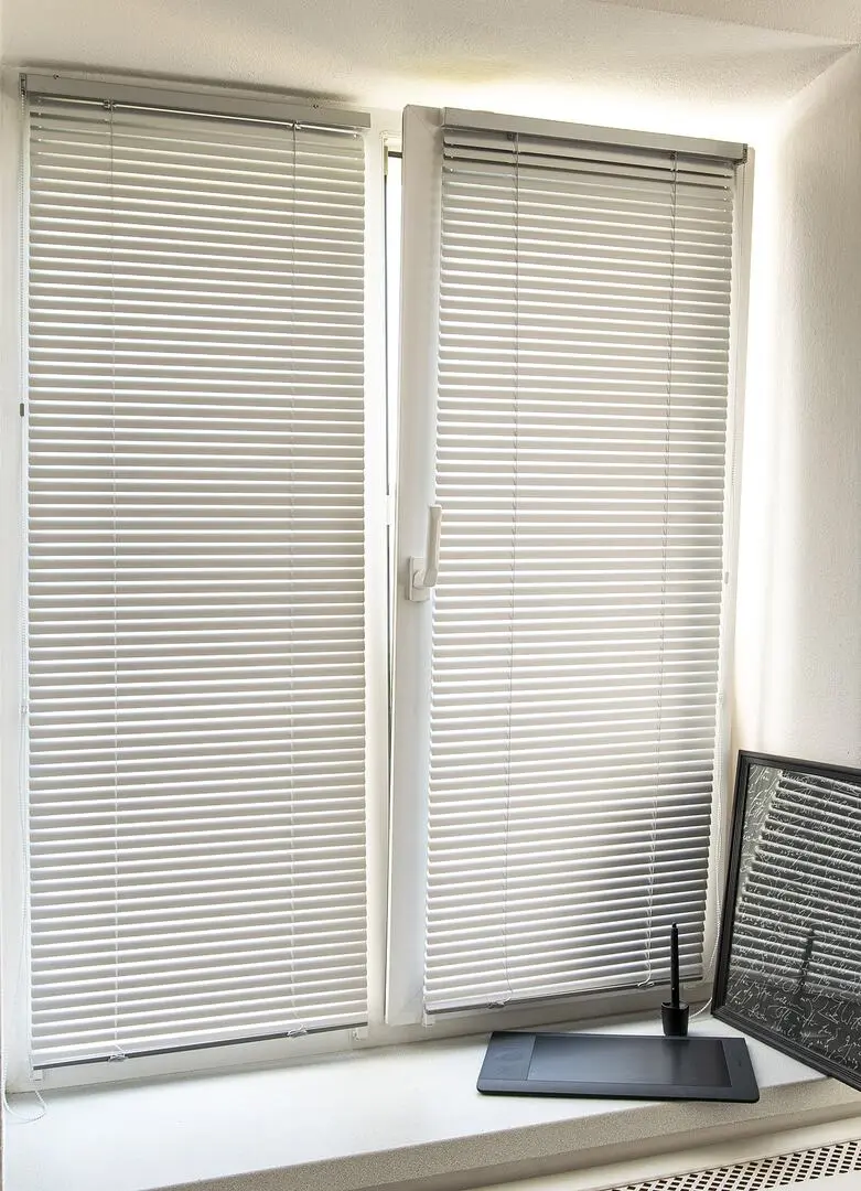 Жалюзи горизонтальные Delfa BlackOut 73x160cm (Silver)