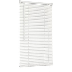 Жалюзи горизонтальные Delfa RF-M-009 100x160cm (White)