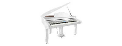 Sintetizatoare, piane digitale si accesorii