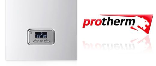 cazan electric Protherm Ray 6KE