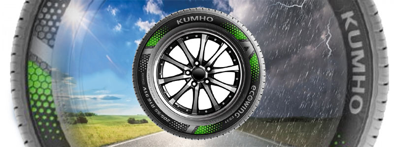 шины летние kumho отзывы